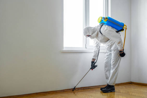 Emergency Pest Control Services in Dardenne Prairie, MO